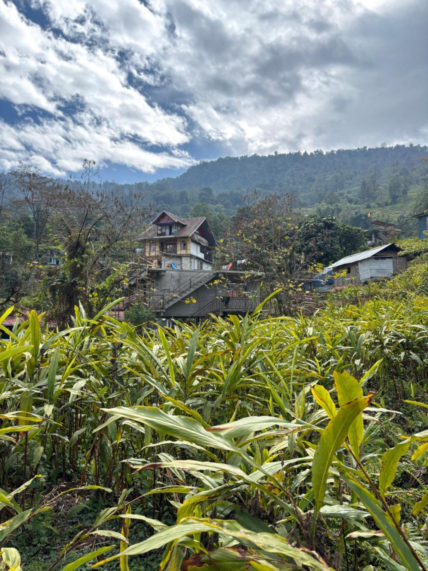 Odyssey'S Darap Eco Retreat Apartment เปลลิง ภายนอก รูปภาพ